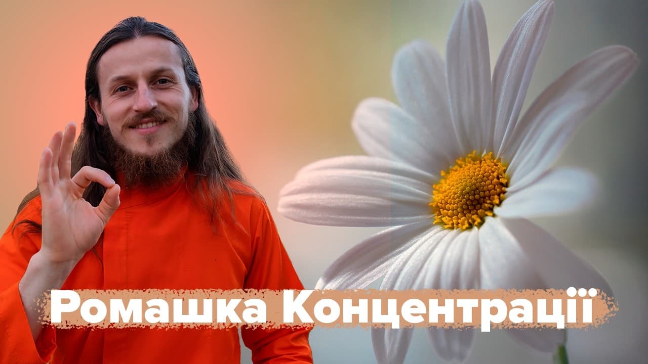 Ромашка концентрації